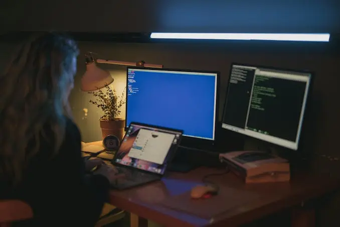 Software Development